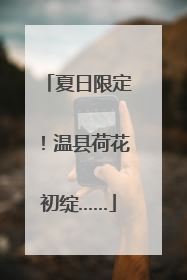 夏日限定！温县荷花初绽……