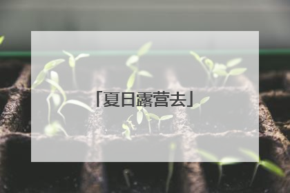 夏日露营去