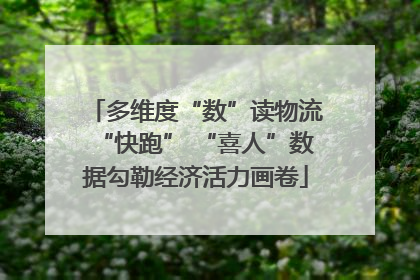多维度“数”读物流“快跑” “喜人”数据勾勒经济活力画卷