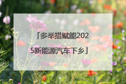 多举措赋能2025新能源汽车下乡
