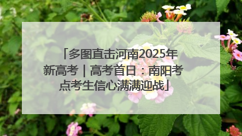 多图直击河南2025年新高考｜高考首日：南阳考点考生信心满满迎战