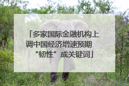 多家国际金融机构上调中国经济增速预期 “韧性”成关键词