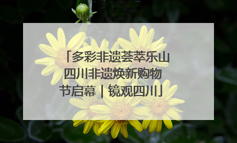 多彩非遗荟萃乐山 四川非遗焕新购物节启幕｜镜观四川