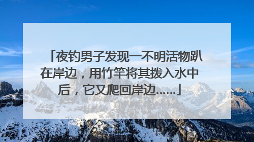 夜钓男子发现一不明活物趴在岸边，用竹竿将其拨入水中后，它又爬回岸边……