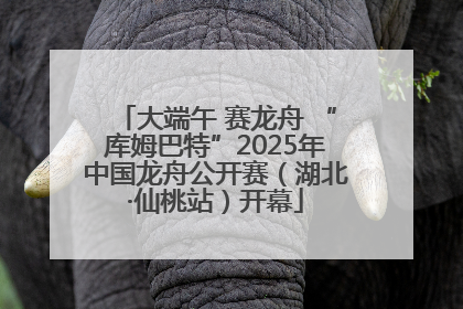 大端午 赛龙舟 “库姆巴特”2025年中国龙舟公开赛（湖北·仙桃站）开幕