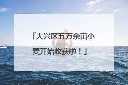 大兴区五万余亩小麦开始收获啦！