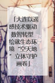 大连以遥感技术驱动数智转型 绘就生态环境“空天地”立体守护画卷