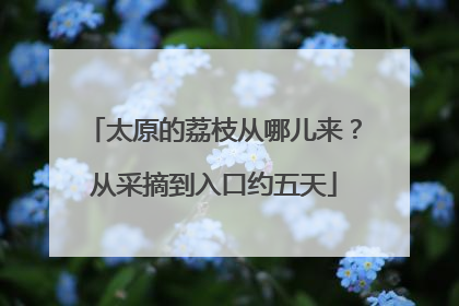 太原的荔枝从哪儿来？从采摘到入口约五天