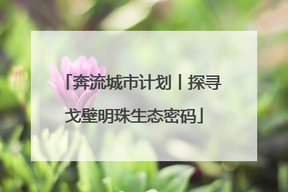 奔流城市计划丨探寻戈壁明珠生态密码