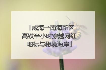 威海→南海新区 高铁半小时穿越网红地标与秘境海岸