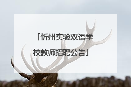 忻州实验双语学校教师招聘公告