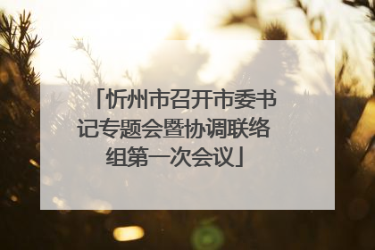 忻州市召开市委书记专题会暨协调联络组第一次会议