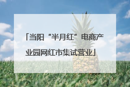 当阳“半月红”电商产业园网红市集试营业