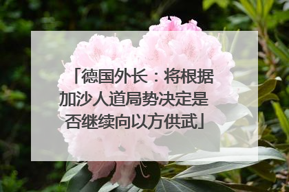 德国外长：将根据加沙人道局势决定是否继续向以方供武