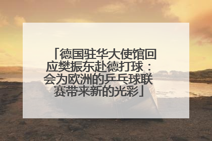 德国驻华大使馆回应樊振东赴德打球：会为欧洲的乒乓球联赛带来新的光彩