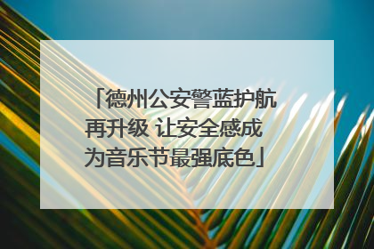 德州公安警蓝护航再升级 让安全感成为音乐节最强底色