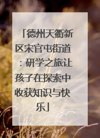 德州天衢新区宋官屯街道：研学之旅让孩子在探索中收获知识与快乐