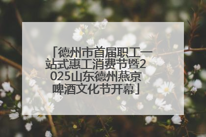 德州市首届职工一站式惠工消费节暨2025山东德州燕京啤酒文化节开幕