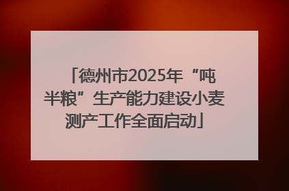 德州市2025年“吨半粮”生产能力建设小麦测产工作全面启动