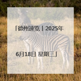 德州速览丨2025年6月18日 星期三