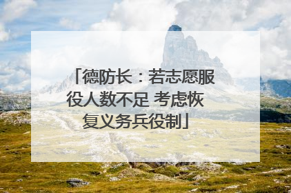 德防长：若志愿服役人数不足 考虑恢复义务兵役制