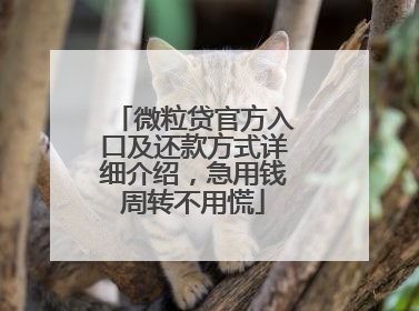 微粒贷官方入口及还款方式详细介绍，急用钱周转不用慌