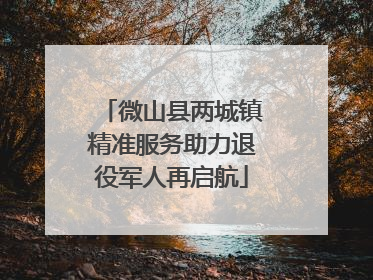 微山县两城镇精准服务助力退役军人再启航