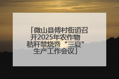 微山县傅村街道召开2025年农作物秸秆禁烧暨“三夏”生产工作会议
