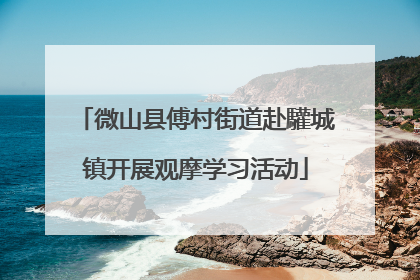 微山县傅村街道赴驩城镇开展观摩学习活动