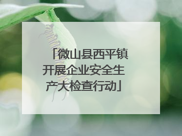 微山县西平镇开展企业安全生产大检查行动