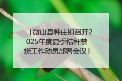 微山县韩庄镇召开2025年度夏季秸秆禁烧工作动员部署会议