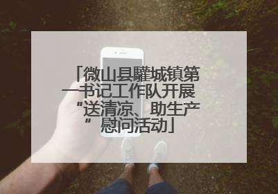 微山县驩城镇第一书记工作队开展“送清凉、助生产”慰问活动