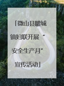 微山县驩城镇妇联开展“安全生产月”宣传活动
