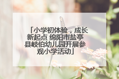 小学初体验，成长新起点 绵阳市盐亭县岐伯幼儿园开展参观小学活动