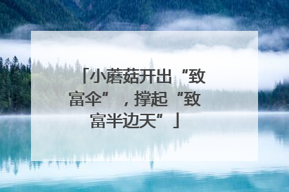 小蘑菇开出“致富伞”，撑起“致富半边天”