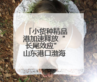 小货种精品港加速释放“长尾效应” 山东港口渤海湾港国际件杂货运业务
