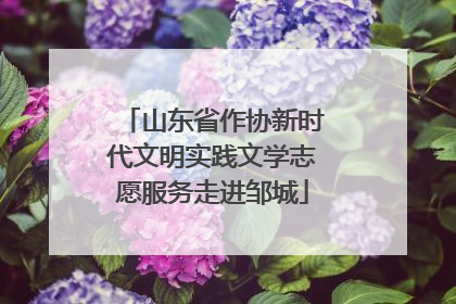 山东省作协新时代文明实践文学志愿服务走进邹城