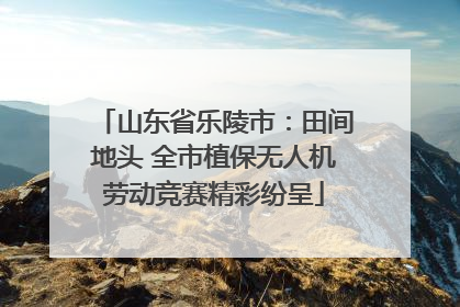 山东省乐陵市：田间地头 全市植保无人机劳动竞赛精彩纷呈