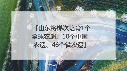 山东将梯次培育1个全球农遗、10个中国农遗、46个省农遗