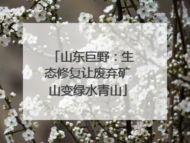 山东巨野：生态修复让废弃矿山变绿水青山