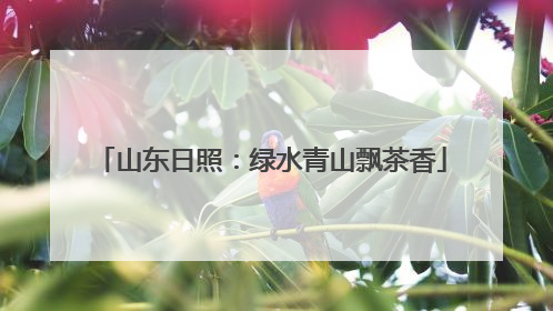 山东日照：绿水青山飘茶香