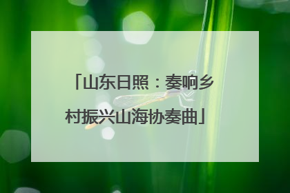 山东日照：奏响乡村振兴山海协奏曲