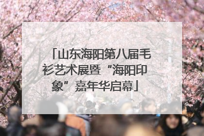 山东海阳第八届毛衫艺术展暨“海阳印象”嘉年华启幕