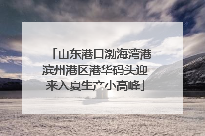 山东港口渤海湾港滨州港区港华码头迎来入夏生产小高峰