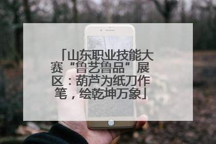 山东职业技能大赛“鲁艺鲁品”展区：葫芦为纸刀作笔，绘乾坤万象