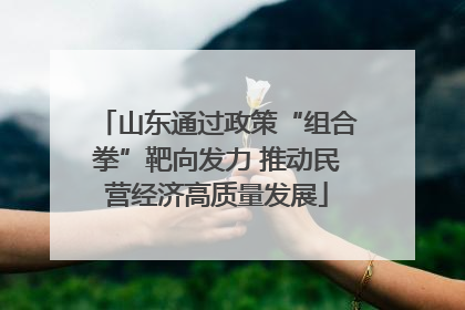 山东通过政策“组合拳”靶向发力 推动民营经济高质量发展