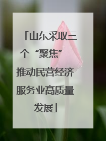 山东采取三个“聚焦” 推动民营经济服务业高质量发展
