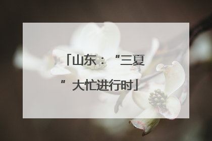 山东：“三夏”大忙进行时