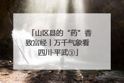 山区县的“药”香致富经丨万千气象看四川·平武③