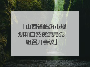 山西省临汾市规划和自然资源局党组召开会议